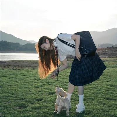 被驱逐的馆长